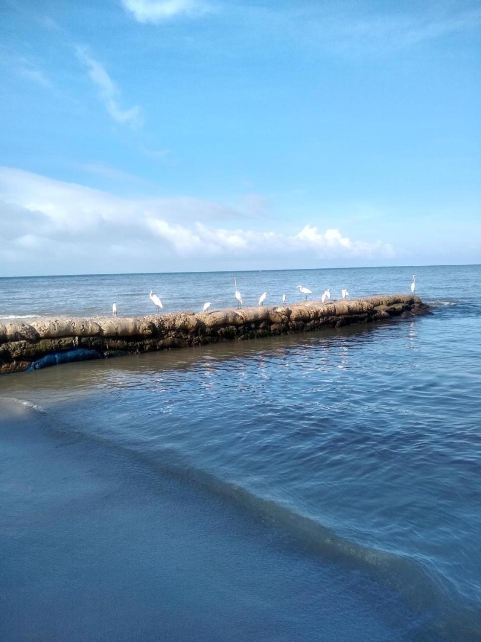 Reserva De La Sierra Santa Marta (Magdalena)